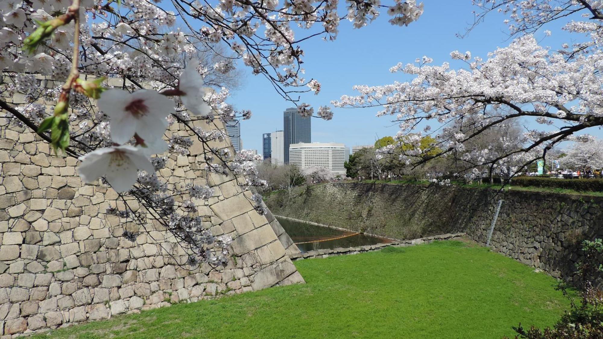 Hotel New Otani Osaka Luaran gambar Sakura at the castle